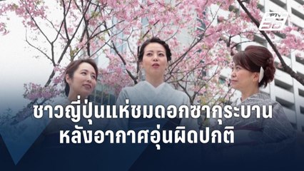 ชาวญี่ปุ่นแห่ชมดอกซากุระบาน หลังอากาศอุ่นผิดปกติ | ข่าวต่างประเทศ | PPTV Online