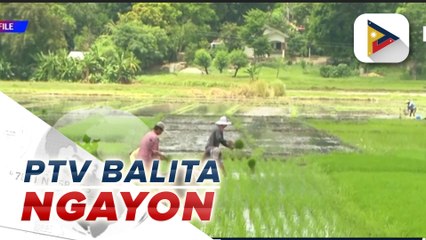 Pamahalaan, handang magbigay ng alternatibong pagkakakitaan ng mga magsasaka na apektado ng El Niño