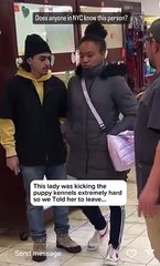 Mulher pontapeia gaiolas em loja de animais e agride turista