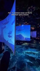 Plongez dans une expérience gastronomique unique avec Under the Sea - où les saveurs rencontrent l'océan!   @The Belgian Blondie