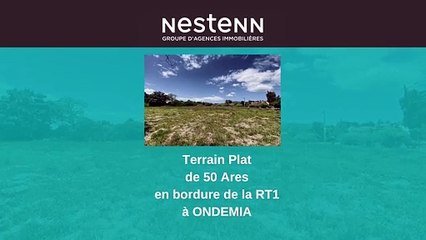 Terrain Commercial Exceptionnel à Ondémia - Investissez dans Votre Avenir avec Nestenn Nouméa