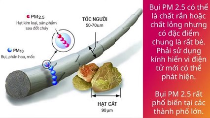 Tác Hại của Bụi Mịn PM 2.5 Mà Bạn Nên Biết - KhautrangN95.com