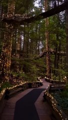 Découvrez la Magnifique Suspension Bridge de Capilano à North Vancouver 🌉