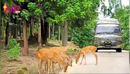 24 Hours of Trending News: Domestic & International Highlights 🌍