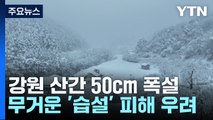 강원 산간 또 50cm 넘는 폭설...눈 치우기 '일상' / YTN