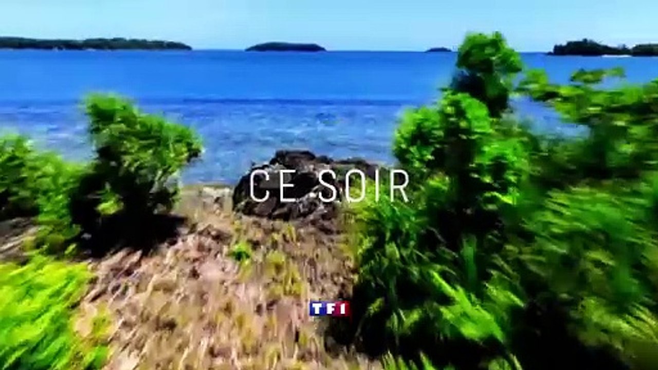 Bande-annonce de "Koh-Lanta : les chasseurs d'immunité" sur TF1.