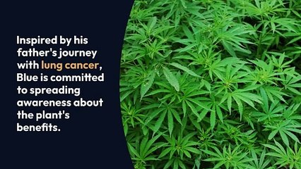 Empower Your Journey: Experience Christopher Wright's Cannabis Education Seminar