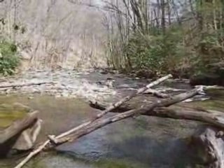 Mill Creek Hiking Trail