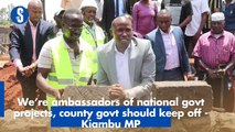 We’re ambassadors of national govt projects, county govt should keep off - Kiambu MP
