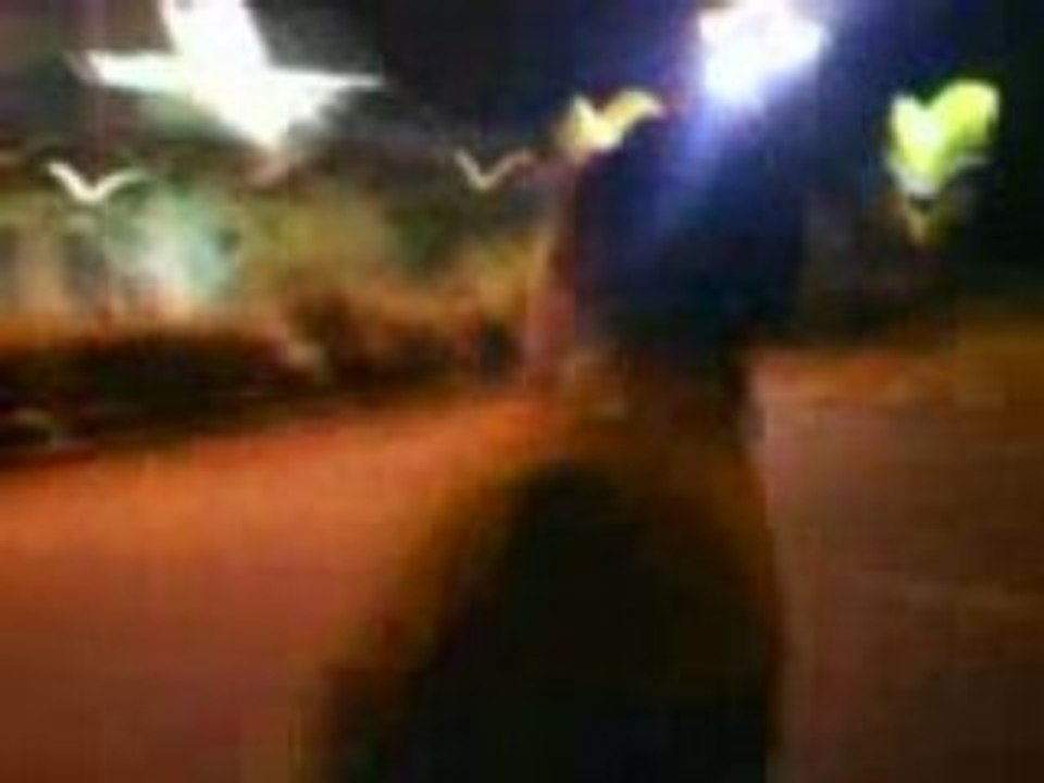 MOV00282