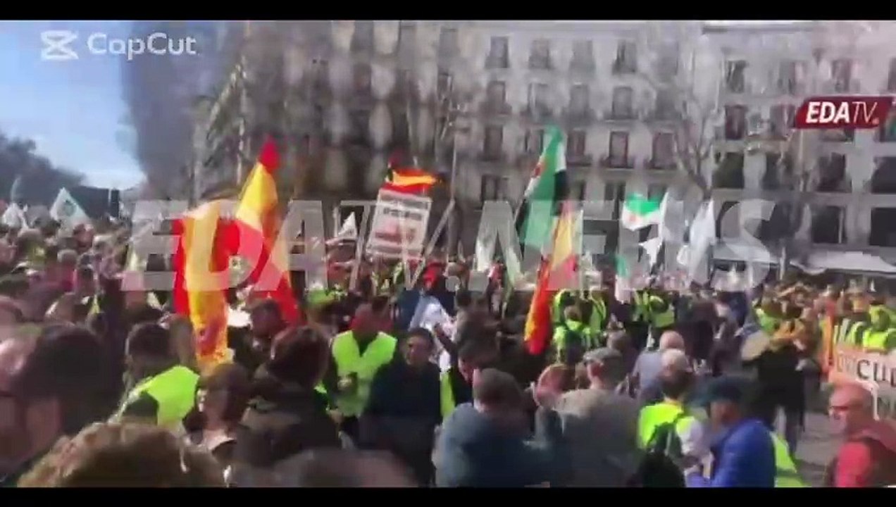 Vean el toro que han llevado los ganaderos hasta la Puerta de Alcalá