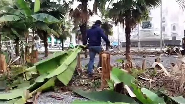 Milano, i lavori di smantellamento dell'aiuola firmata Starbucks in piazza Duomo