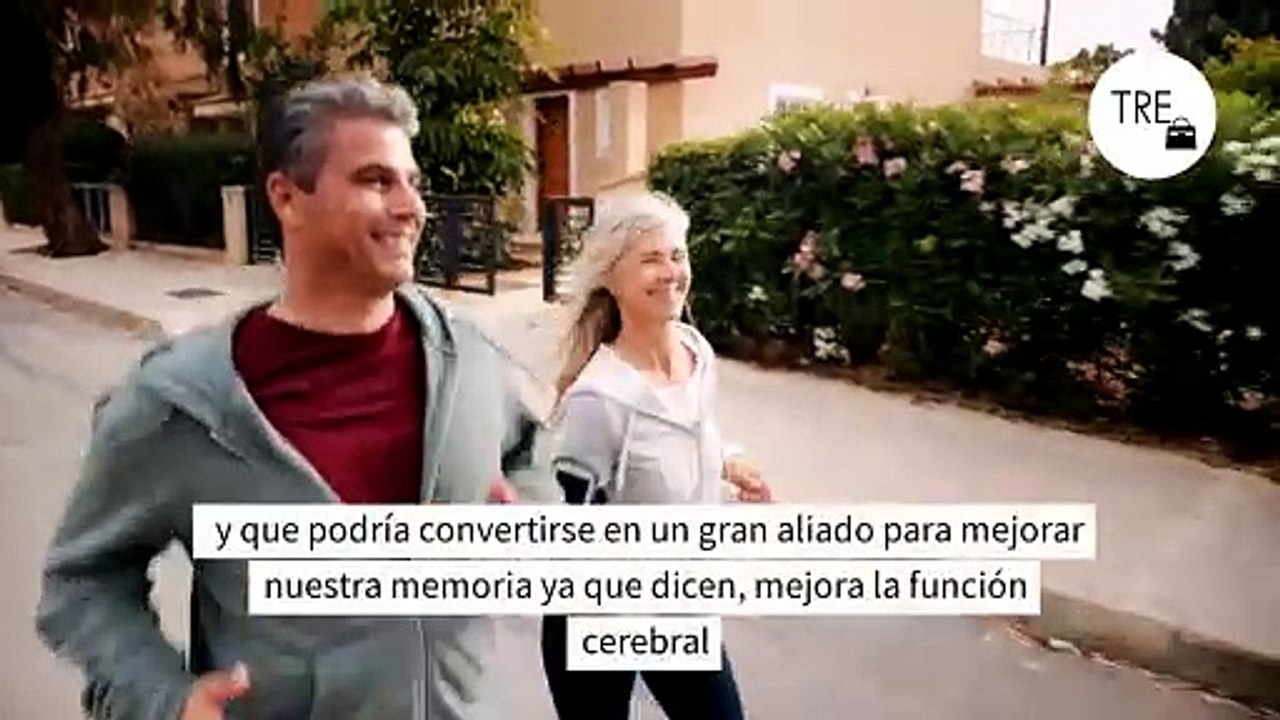 Según Harvard, el ejercicio físico podría ser un factor determinante para proteger a nuestro cerebro del envejecimiento y mejorar la memoria