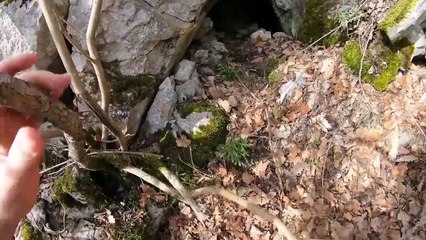 Define Ararken Ağaç Kovuğunda Değerli Haç Buldum !!!