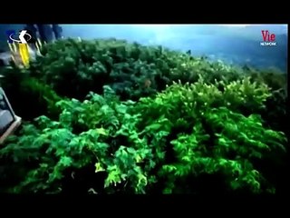 Tập 28 - Kiếm Ngạo Vô Song (Lồng tiếng)_Lý Minh Thuận, Châu Hải My, Lữ Lương Vỹ