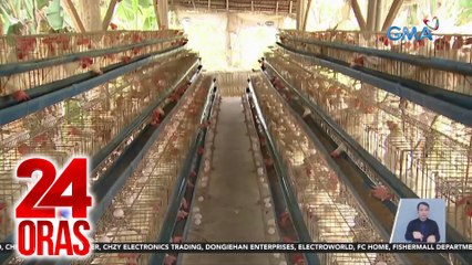 Mga alagang hayop, apektado ng init; ilang manok, nangamatay | 24 Oras