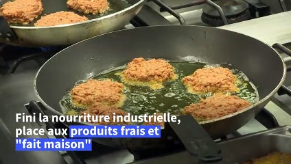 Dans les collèges de Dordogne, du 100% bio, du local et des agriculteurs heureux