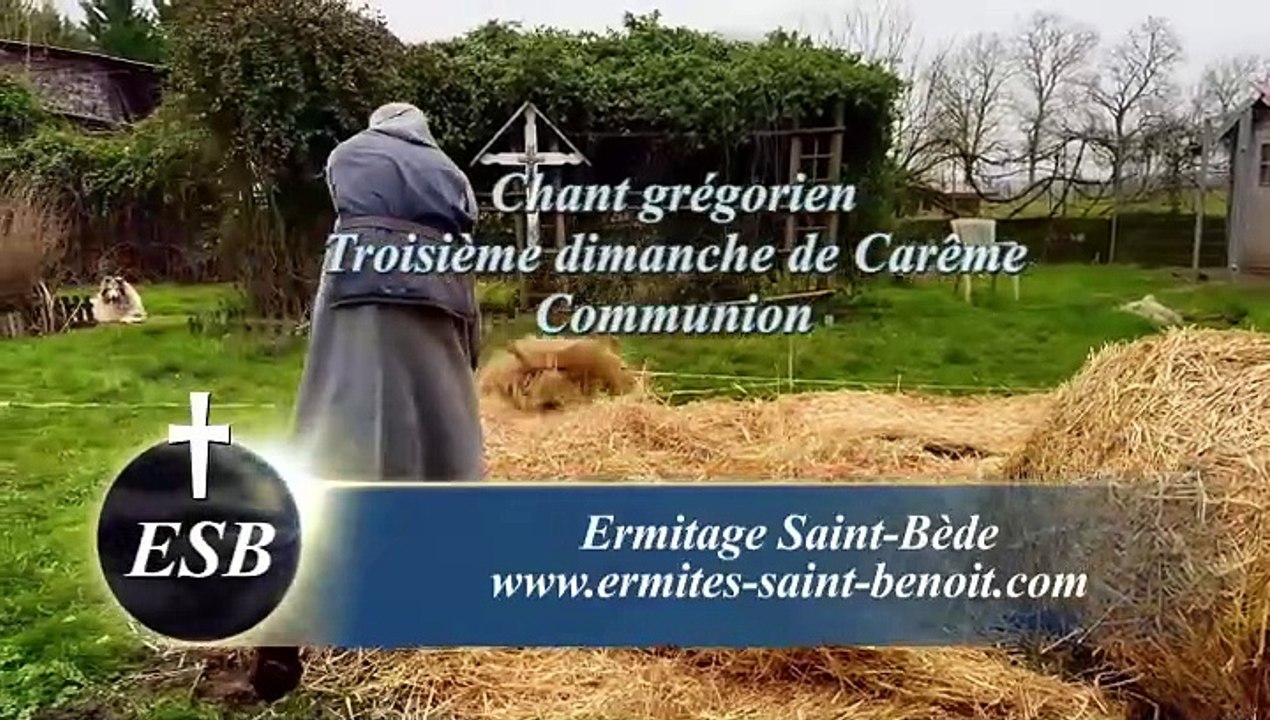 Communion Passer invenit du Troisième dimanche de Carême - Ermitage Saint-Bède -  Jean-Claude Guerguy pour Ciné Art Loisir.