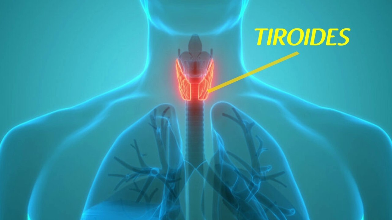 bd-causas-sintomas-tratamientos-de-tiroiditis-de-hashimoto-220224