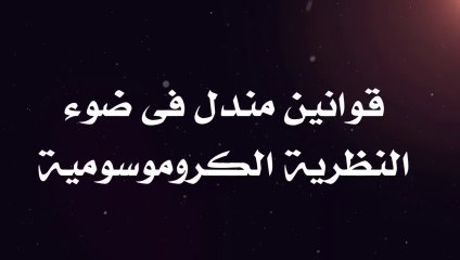 أحياء أولى ثانوي - الترم الثاني -  قوانين مندل فى ضوء النظرية الكروموسومية | منصة التعليمية أكاديمي