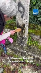 Quatre calvaires et un abribus tagués en Dordogne, les habitants ne comprennent pas les motivations