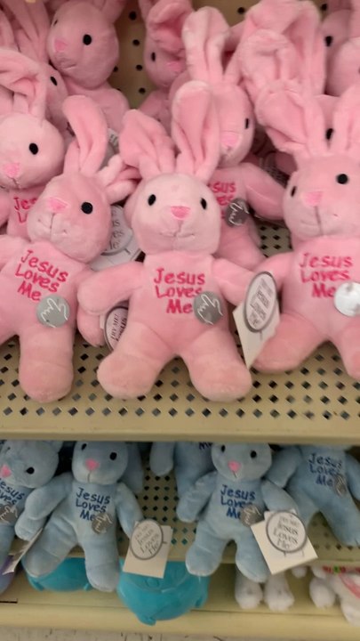 Bunny