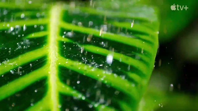 Earthsounds : les sons de la Terre - saison 1 Bande-annonce VO