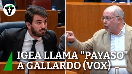 Igea llama "sinvergüenza" y "payaso" a Gallardo (Vox)