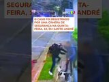 Cachorro se joga em homem, protege tutor e evita assalto em Santo André (SP)