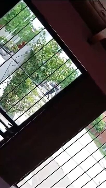 Pelea entre policías y un grupo de personas en Monteros