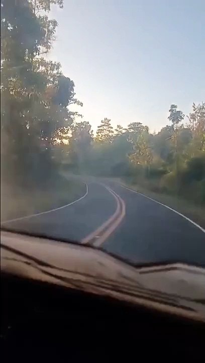 Napsan