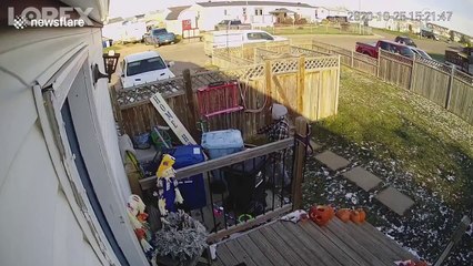 man freaks out as squirrel jumps out of bin -very funny