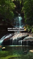 Traitements d’UV et de filtres au charbon actif dans les eaux minérales