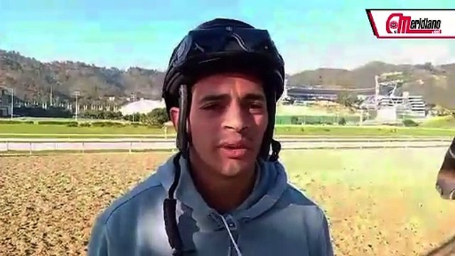 ¡Jinete Larry Mejías con seis montas este domingo!