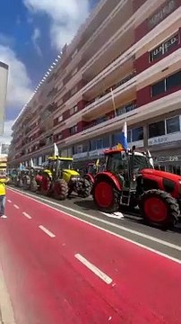 Tractorada en Las Palmas de Gran Canaria
