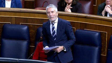 El PP acorrala a Marlaska por desmantelar el grupo de élite contra los narcos y le reprueba en el Senado