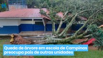 A queda de uma árvore sobre o telhado na Escola Municipal Júlio de Mesquita, na Vila Formosa, interditou a unidade até sexta-feira, 23.