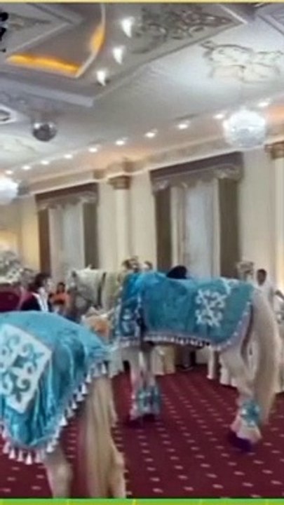 ما هذا يا هذا ههههه