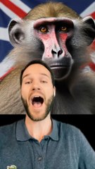 Tant pis pour eux c’est une belle langue la français  