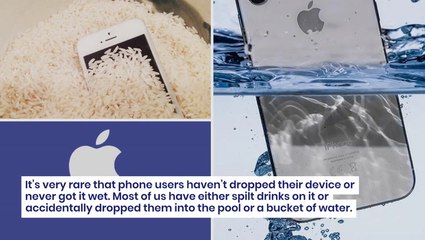 Apple Says Don't Bury Your Wet iPhone In Rice, Do This To Dry It Right