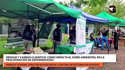 Dengue y cambio climático cómo impacta el daño ambiental en la proliferación de enfermedades