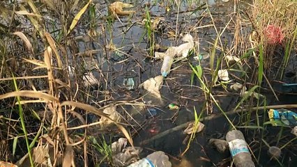 تلوّث "كارثي" يهدّد أنهار العراق