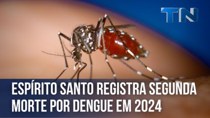 Espírito Santo registra segunda morte por dengue em 2024
