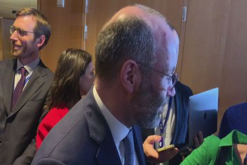 Weber (Ppe) accusa: "Orban voce di Putin nell’Ue"