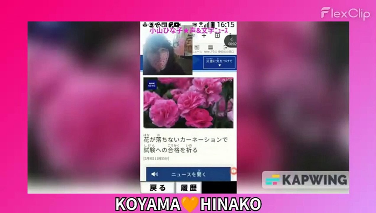 花が落ちないｶｰﾈｰｼｮﾝ(応援花)で試験ﾍの合格を祈る[令和6(2024)年2月9日(金)11時55分]小山ひな子★声&文字ﾆｭｰｽ