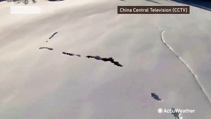 Pack of wolves plows through snowy tunnels in China