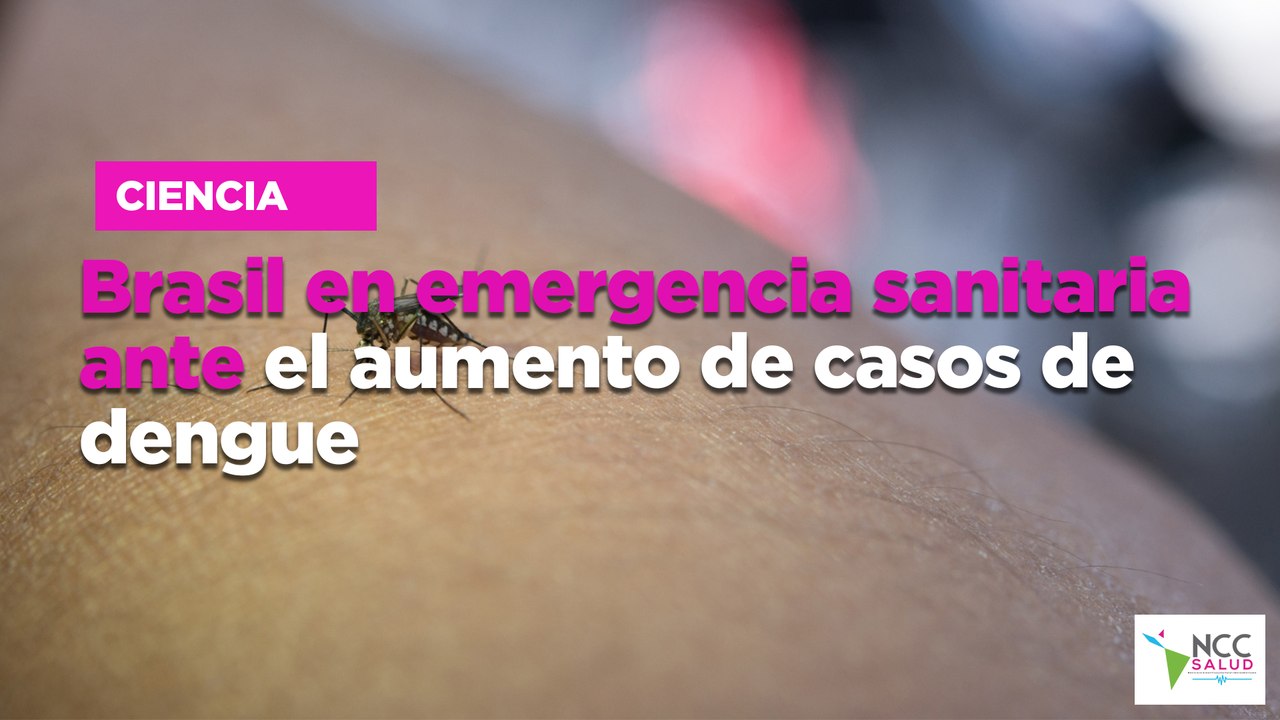 Brasil en emergencia sanitaria ante el aumento de casos de dengue