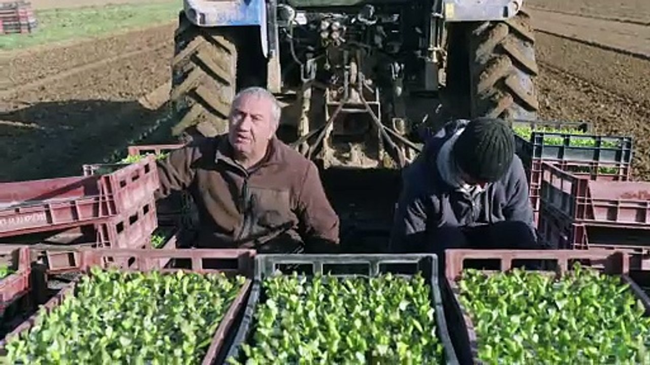 "Pas de repos pour Marco" extrait du documentaire de David Unger pour France 3