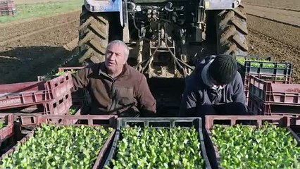 "Pas de repos pour Marco" extrait du documentaire de David Unger pour France 3