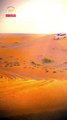 Dubai Safari Desert Tour with Al Qudra Tuors